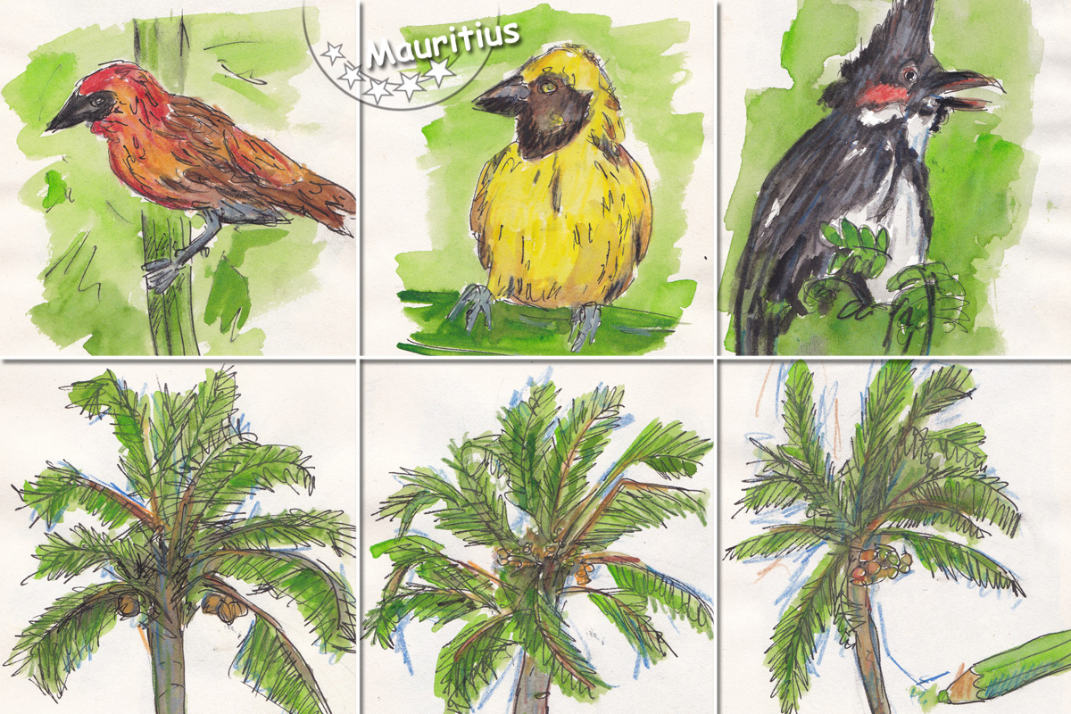 Mauritius_Illu Vögel